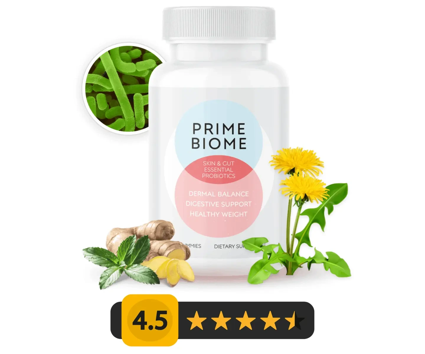 m primeb